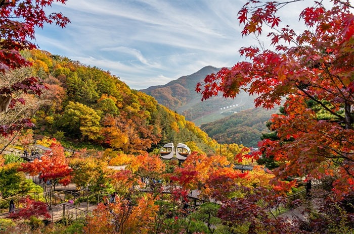 Autumn in Korea: Why Travelers Fall in Love Every Year 1 Autumn in Korea: Why Travelers Fall in Love Every Year