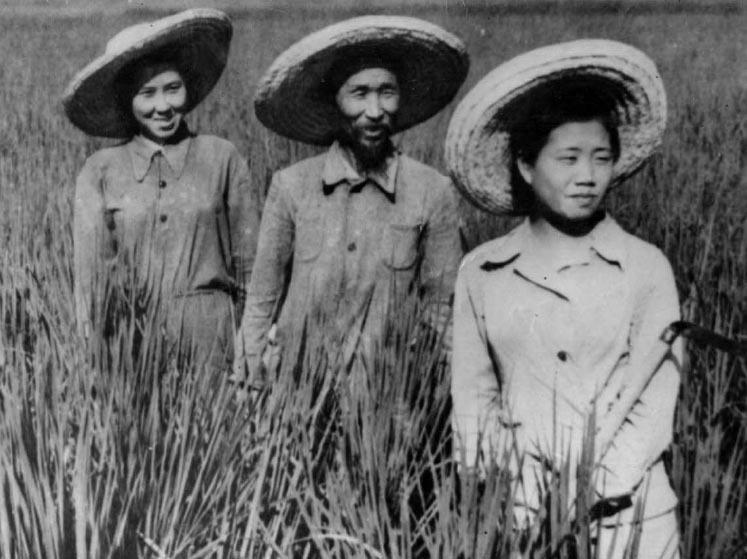 Why Were Koreans Forced to Central Asia? The saddest history in the world 8 A Koryo-saram family cultivating rice after the forced deportation